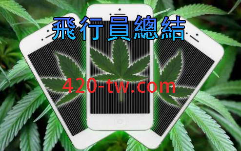 飛行員總結